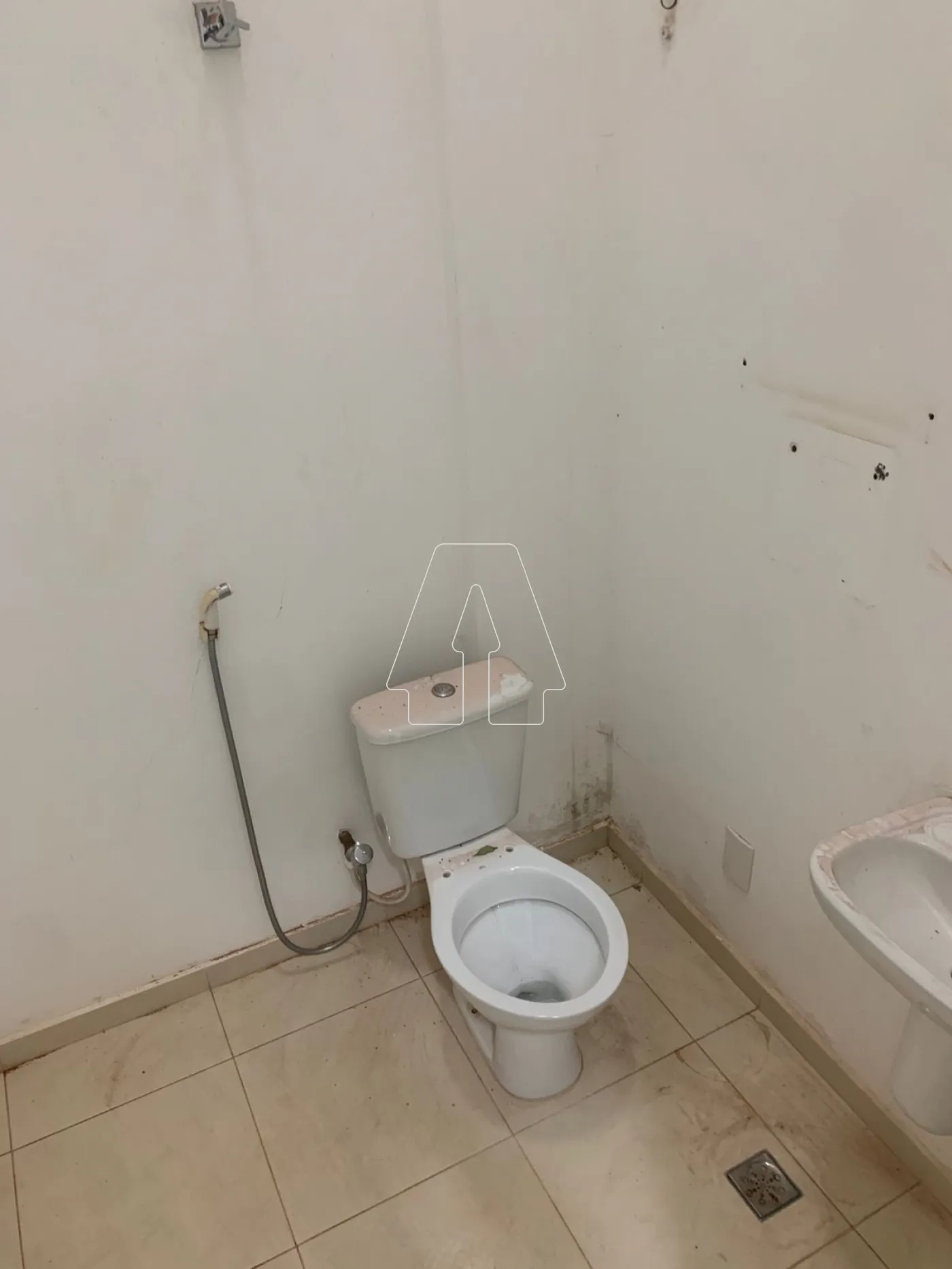 Alugar Comercial / Salão em Araçatuba R$ 15.000,00 - Foto 9