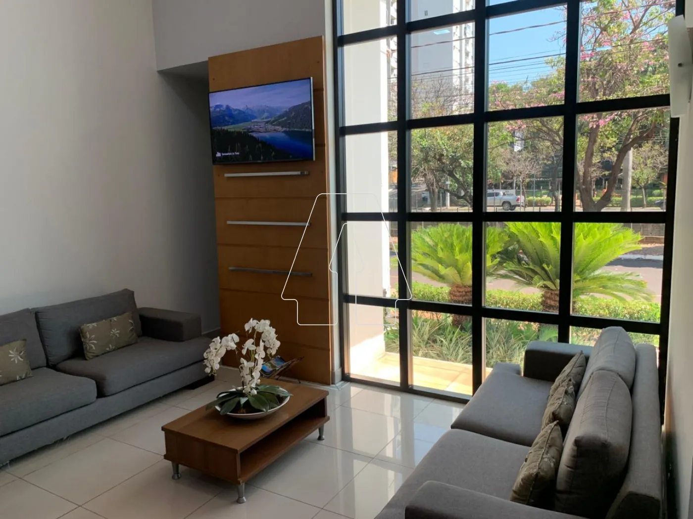 Alugar Comercial / Sala em Araçatuba R$ 750,00 - Foto 1