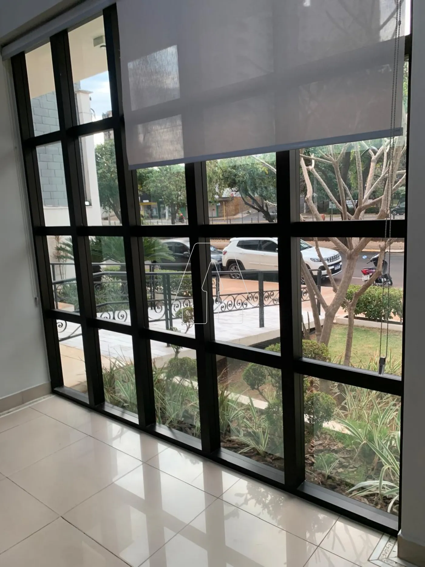Alugar Comercial / Sala em Araçatuba R$ 750,00 - Foto 4