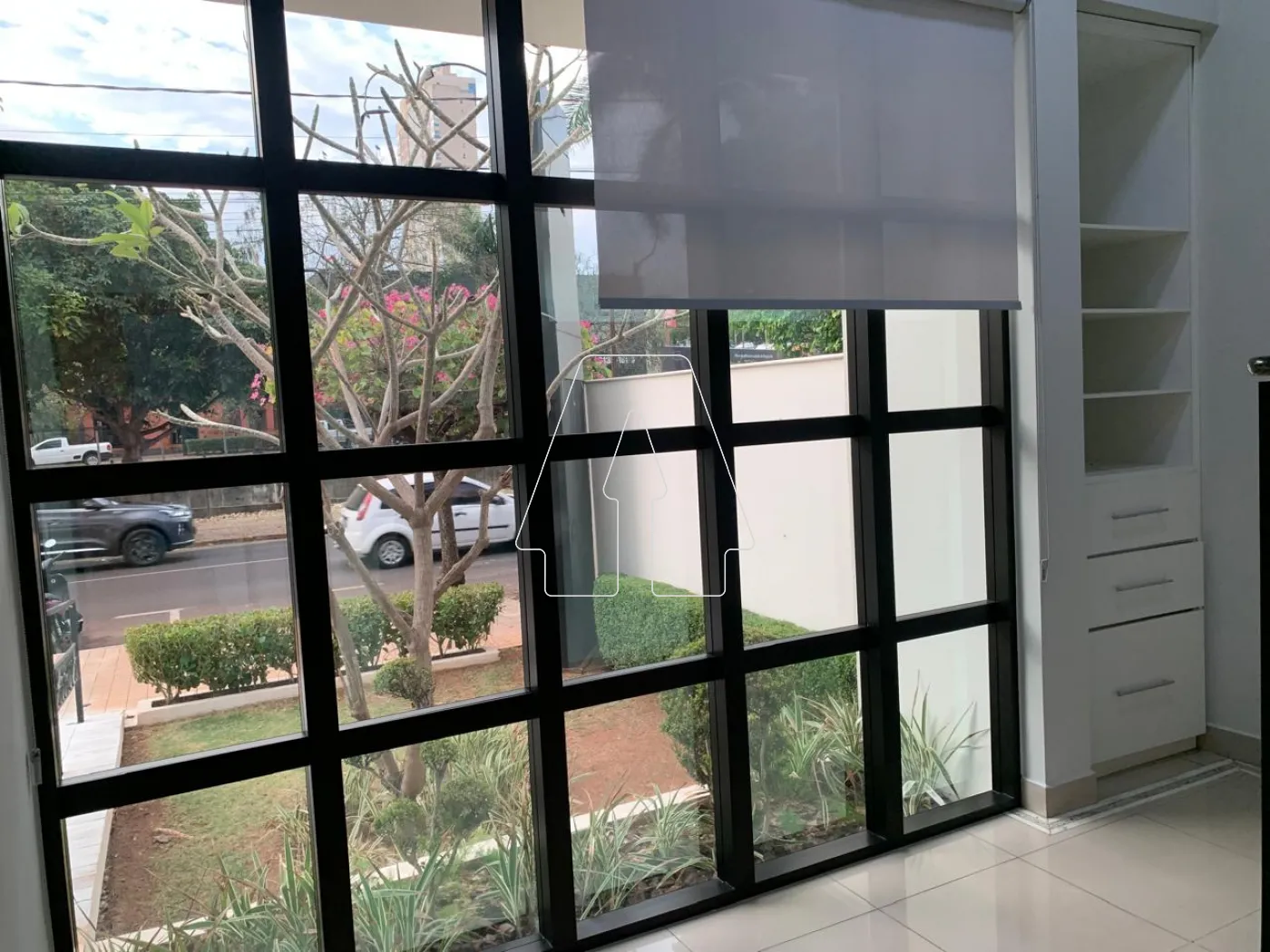 Alugar Comercial / Sala em Araçatuba R$ 750,00 - Foto 5