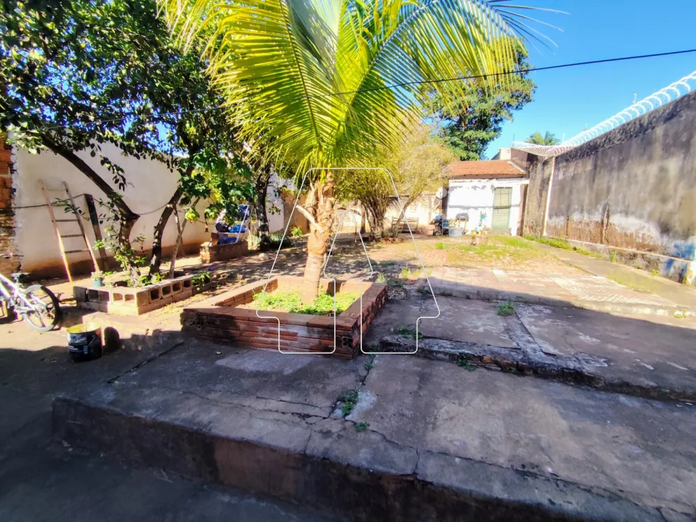 Comprar Casa / Residencial em Araçatuba R$ 215.000,00 - Foto 10