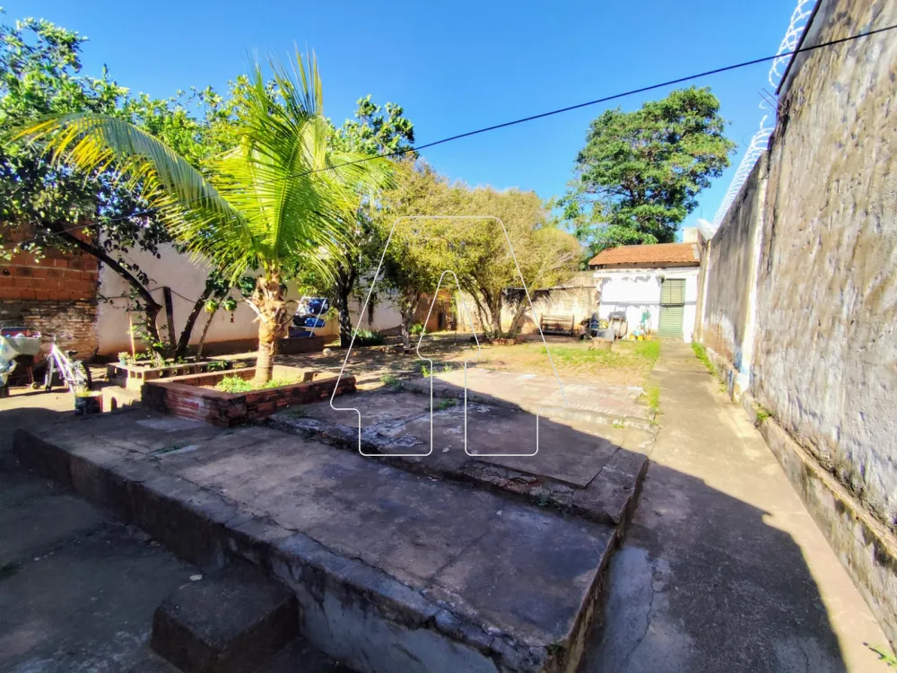 Comprar Casa / Residencial em Araçatuba R$ 215.000,00 - Foto 11