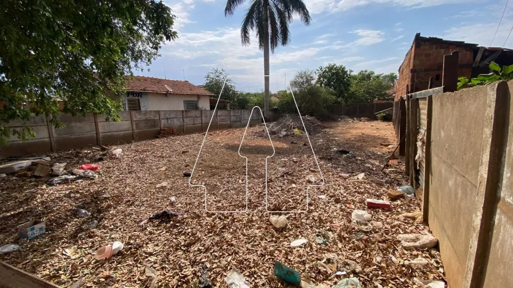 Comprar Terreno / Padrão em Araçatuba R$ 95.000,00 - Foto 6