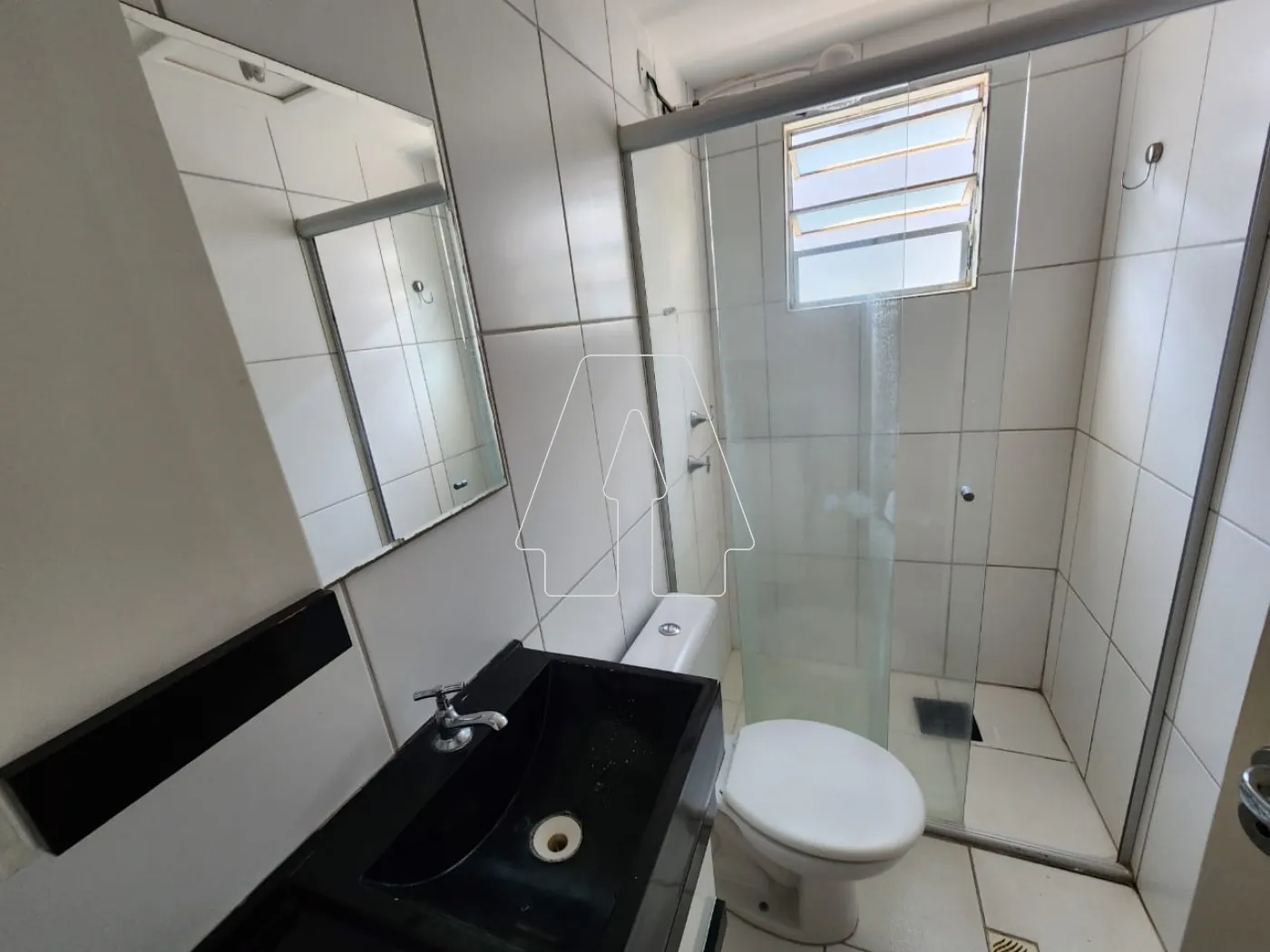 Alugar Apartamento / Padrão em Araçatuba R$ 900,00 - Foto 4