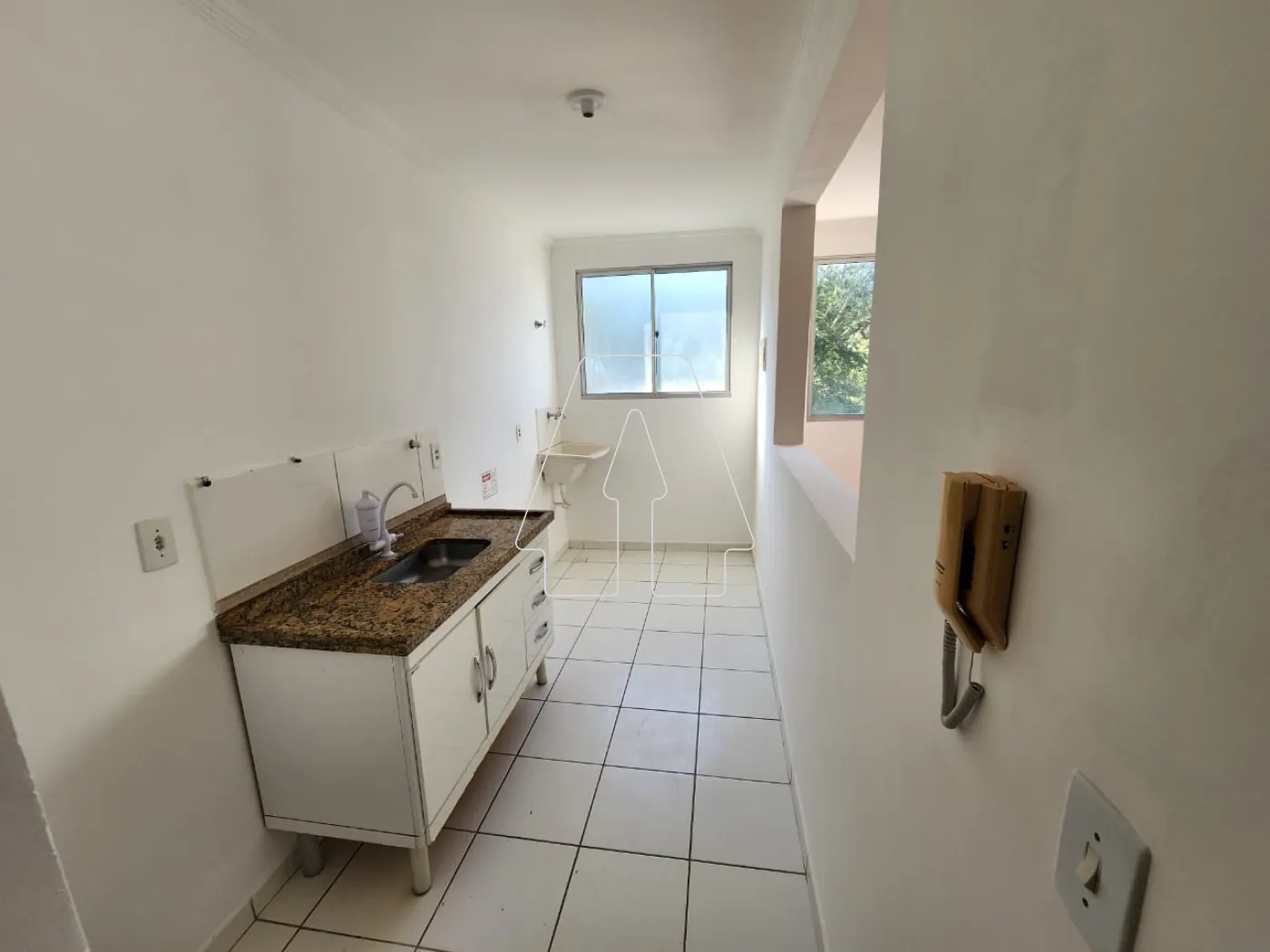 Alugar Apartamento / Padrão em Araçatuba R$ 550,00 - Foto 8