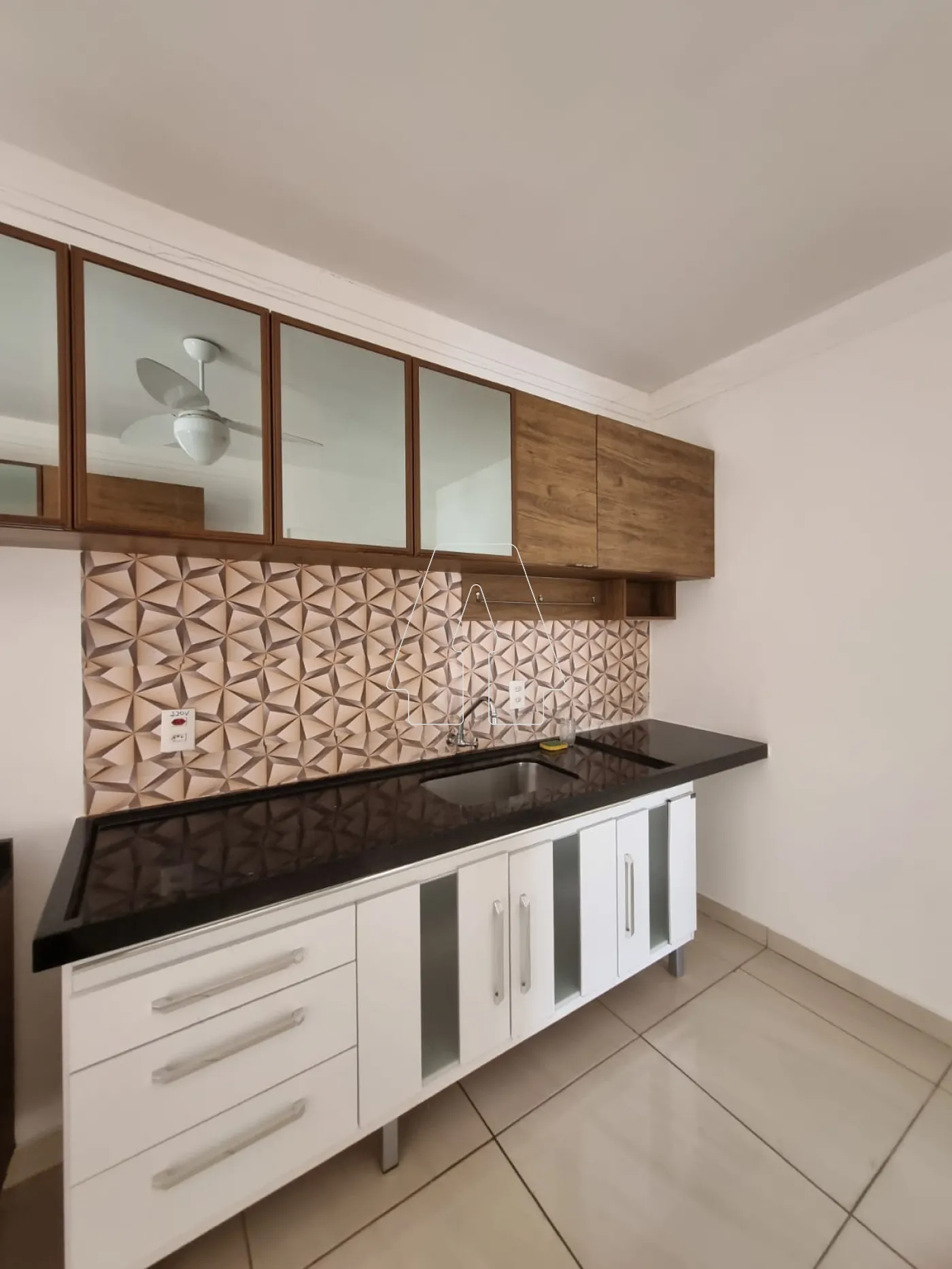 Alugar Casa / Residencial em Araçatuba R$ 3.200,00 - Foto 5