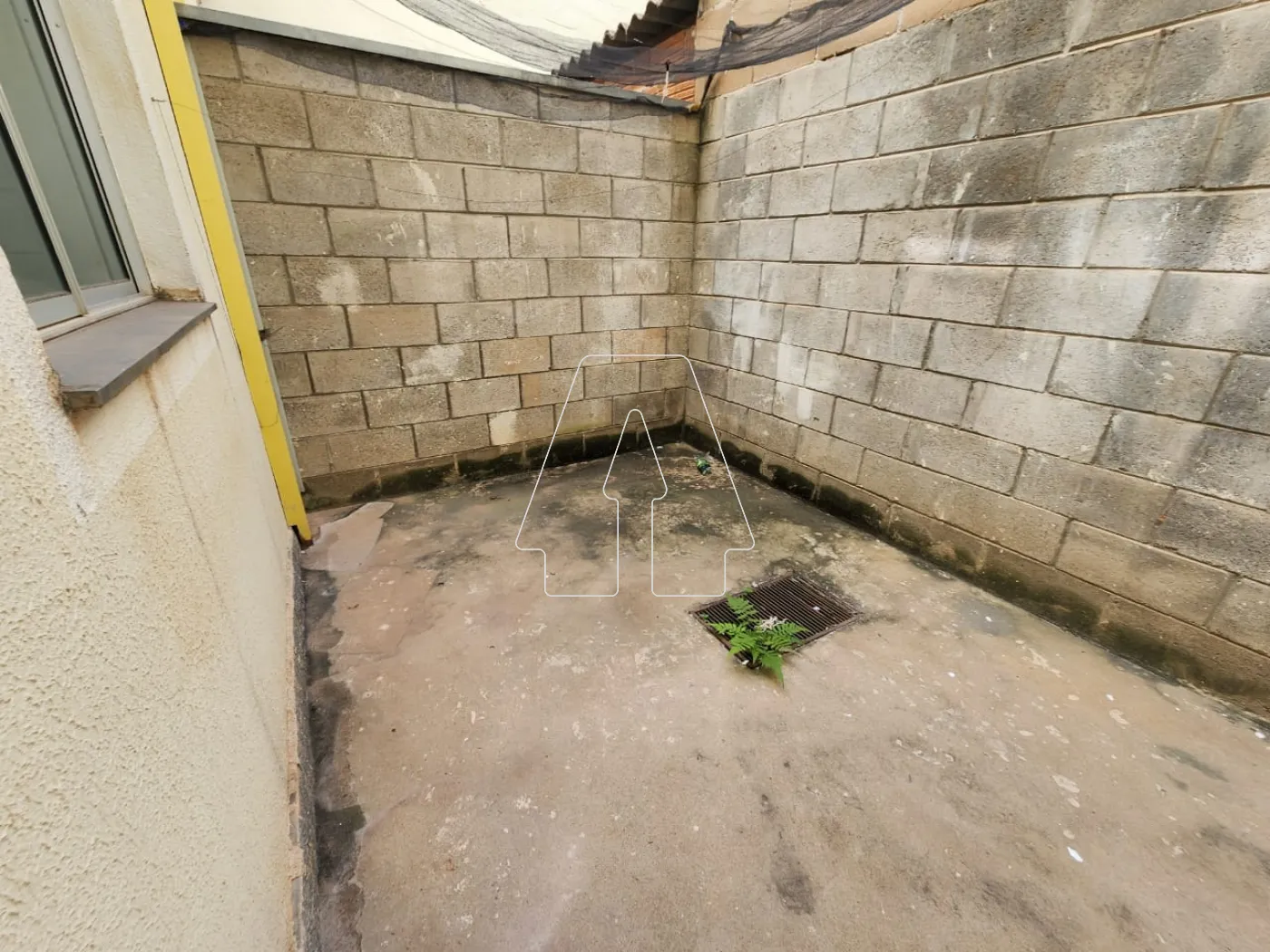 Alugar Apartamento / Padrão em Araçatuba R$ 1.300,00 - Foto 6