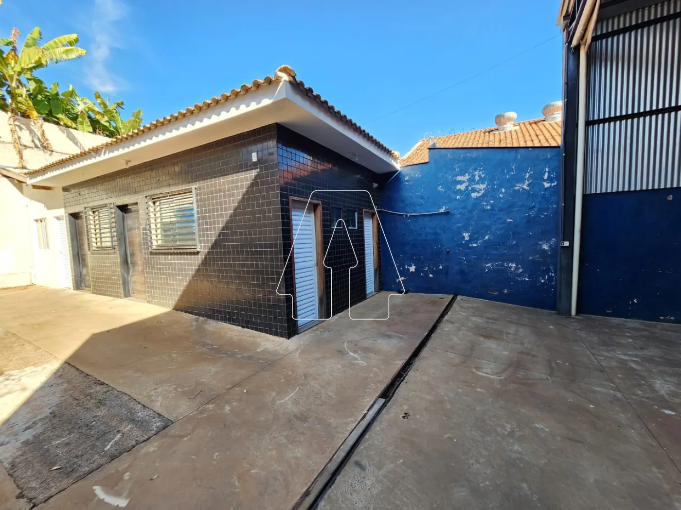 Alugar Comercial / Salão em Araçatuba R$ 3.000,00 - Foto 5