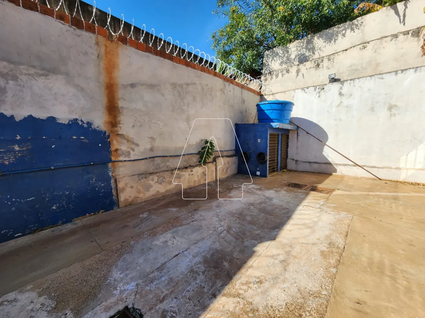Alugar Comercial / Salão em Araçatuba R$ 3.000,00 - Foto 8