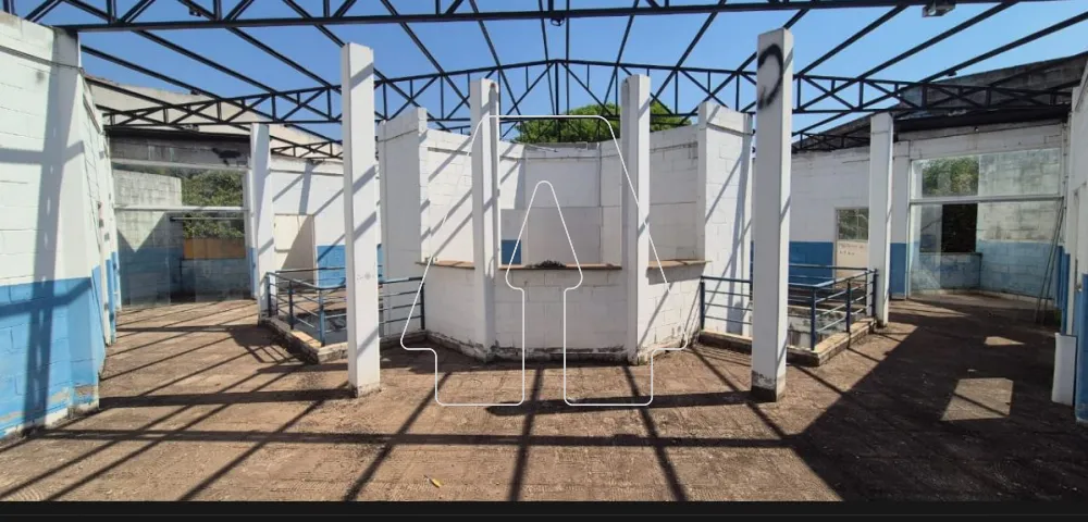 Alugar Terreno / Padrão em Araçatuba R$ 8.000,00 - Foto 1