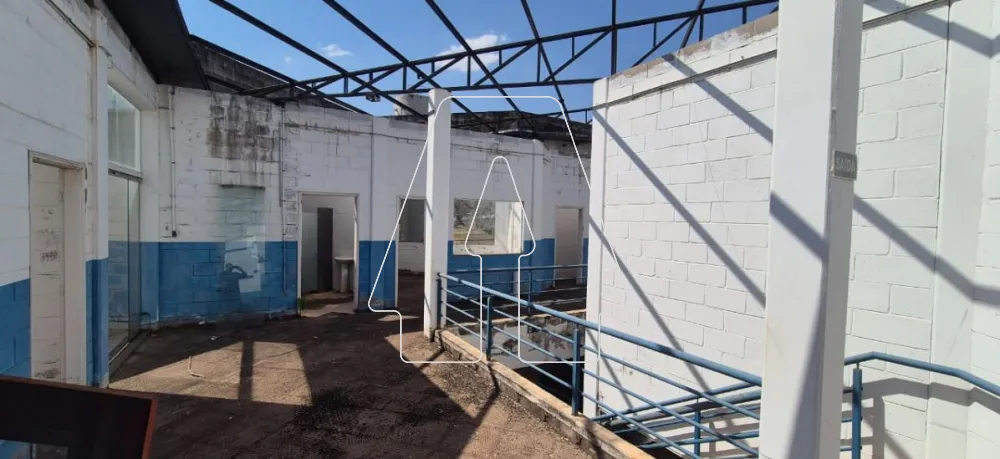 Alugar Terreno / Padrão em Araçatuba R$ 8.000,00 - Foto 2