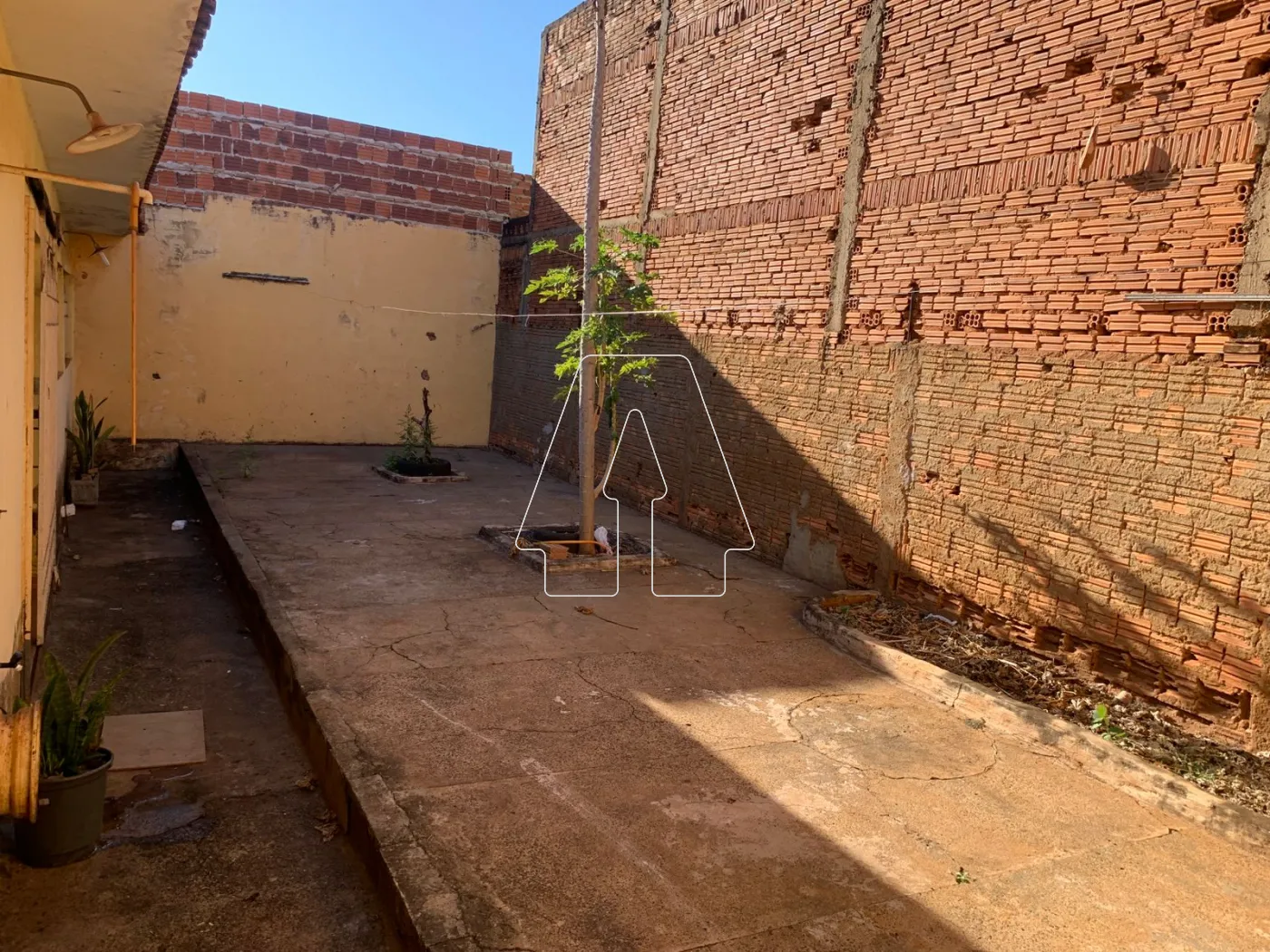 Alugar Casa / Residencial em Araçatuba R$ 1.600,00 - Foto 28