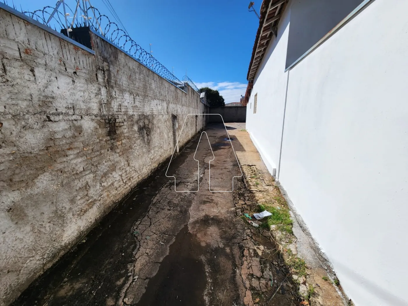 Alugar Comercial / Ponto Comercial em Araçatuba R$ 1.000,00 - Foto 5