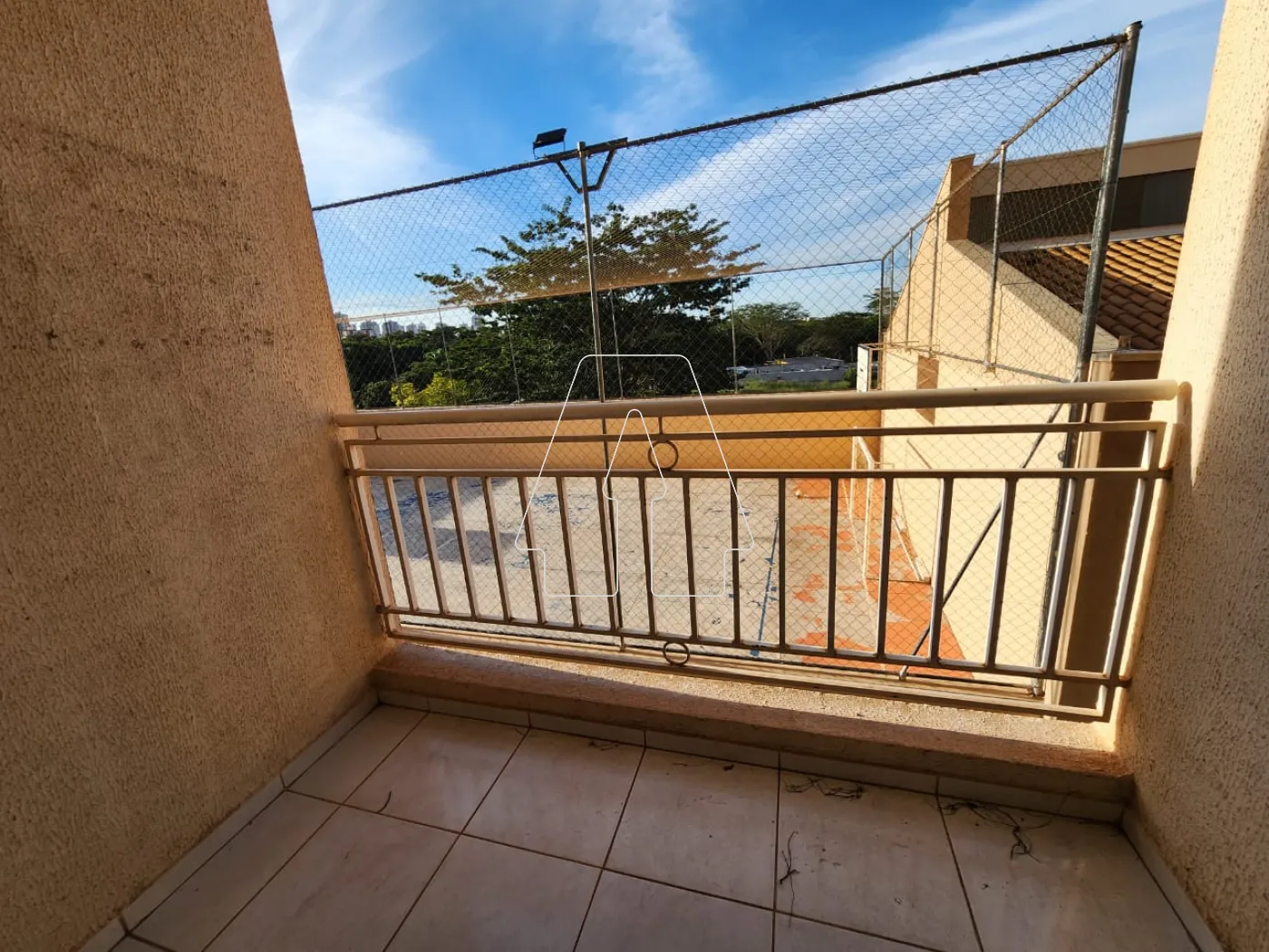 Alugar Apartamento / Padrão em Araçatuba R$ 1.500,00 - Foto 3