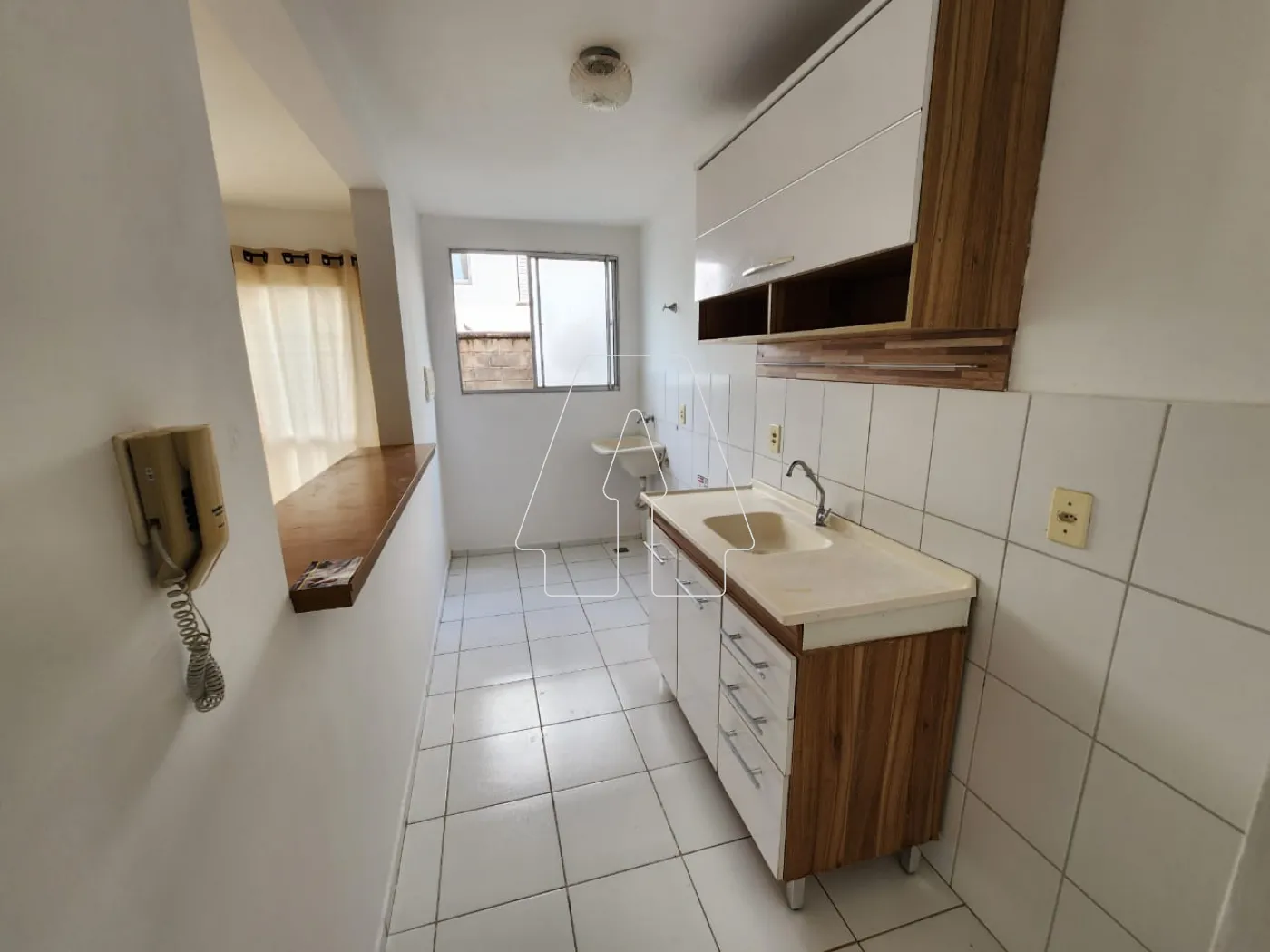 Alugar Apartamento / Padrão em Araçatuba R$ 800,00 - Foto 5