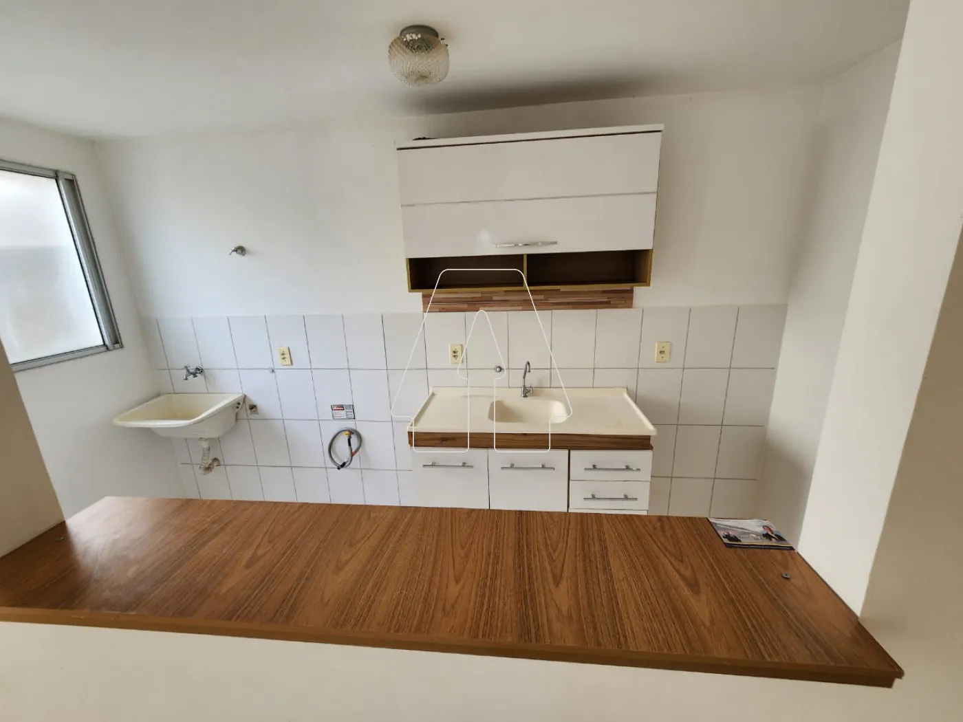 Alugar Apartamento / Padrão em Araçatuba R$ 800,00 - Foto 6