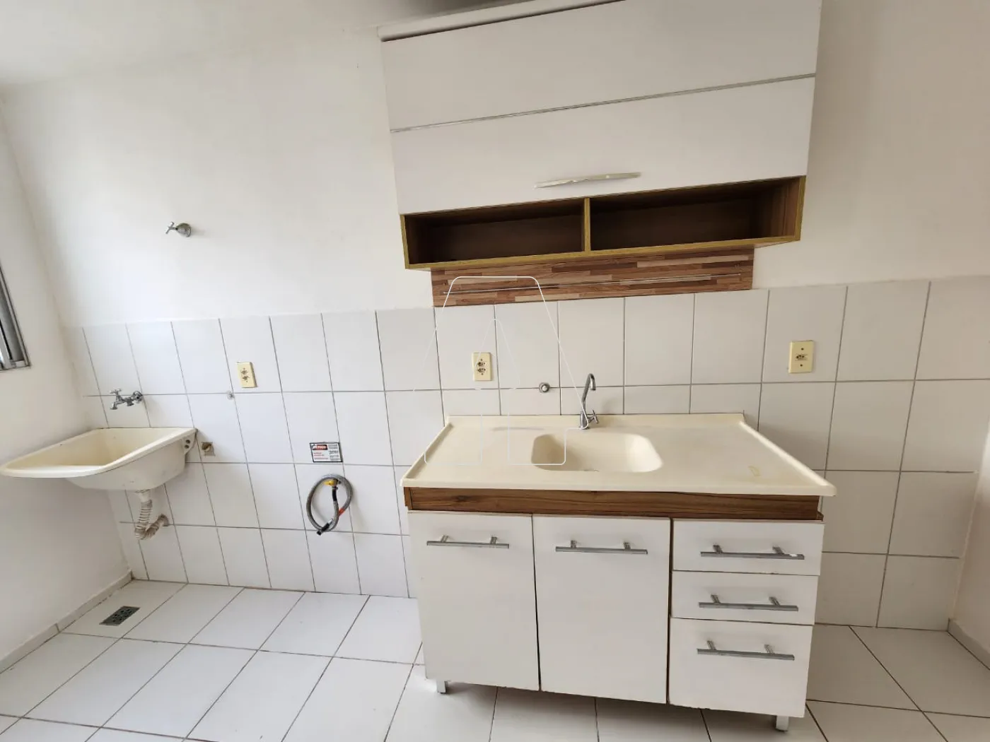 Alugar Apartamento / Padrão em Araçatuba R$ 800,00 - Foto 7