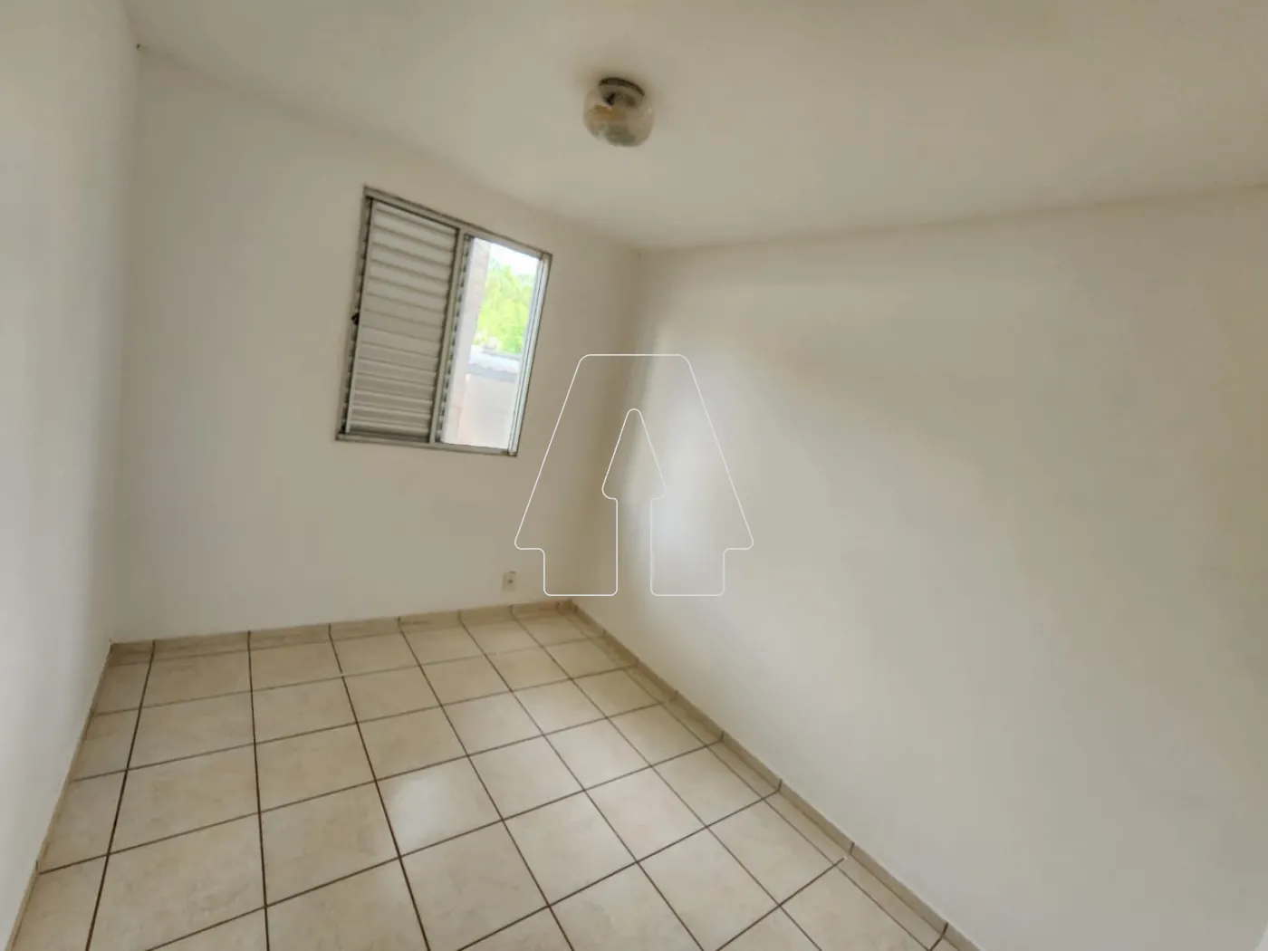 Alugar Apartamento / Padrão em Araçatuba R$ 800,00 - Foto 4