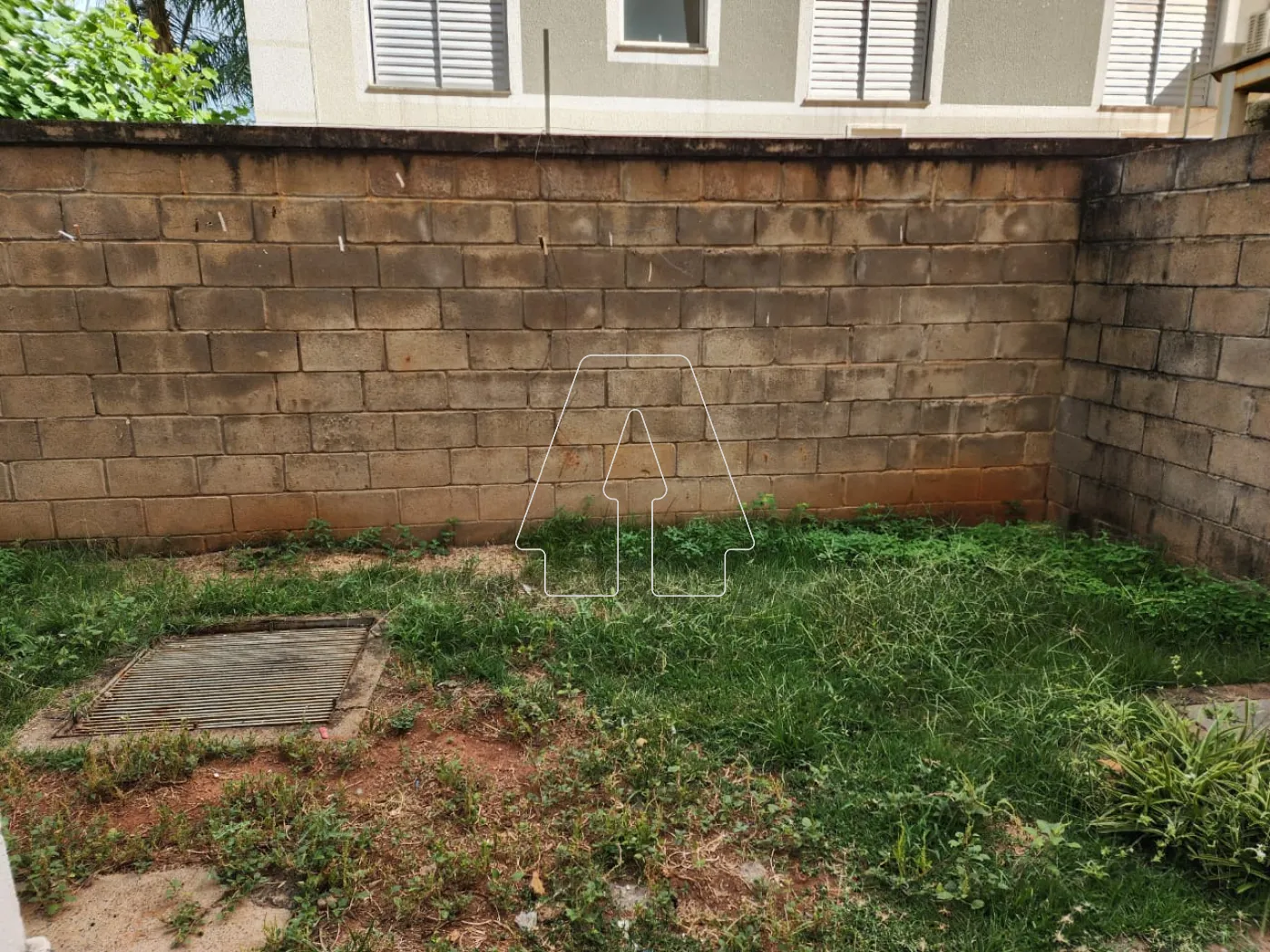 Alugar Apartamento / Padrão em Araçatuba R$ 800,00 - Foto 10