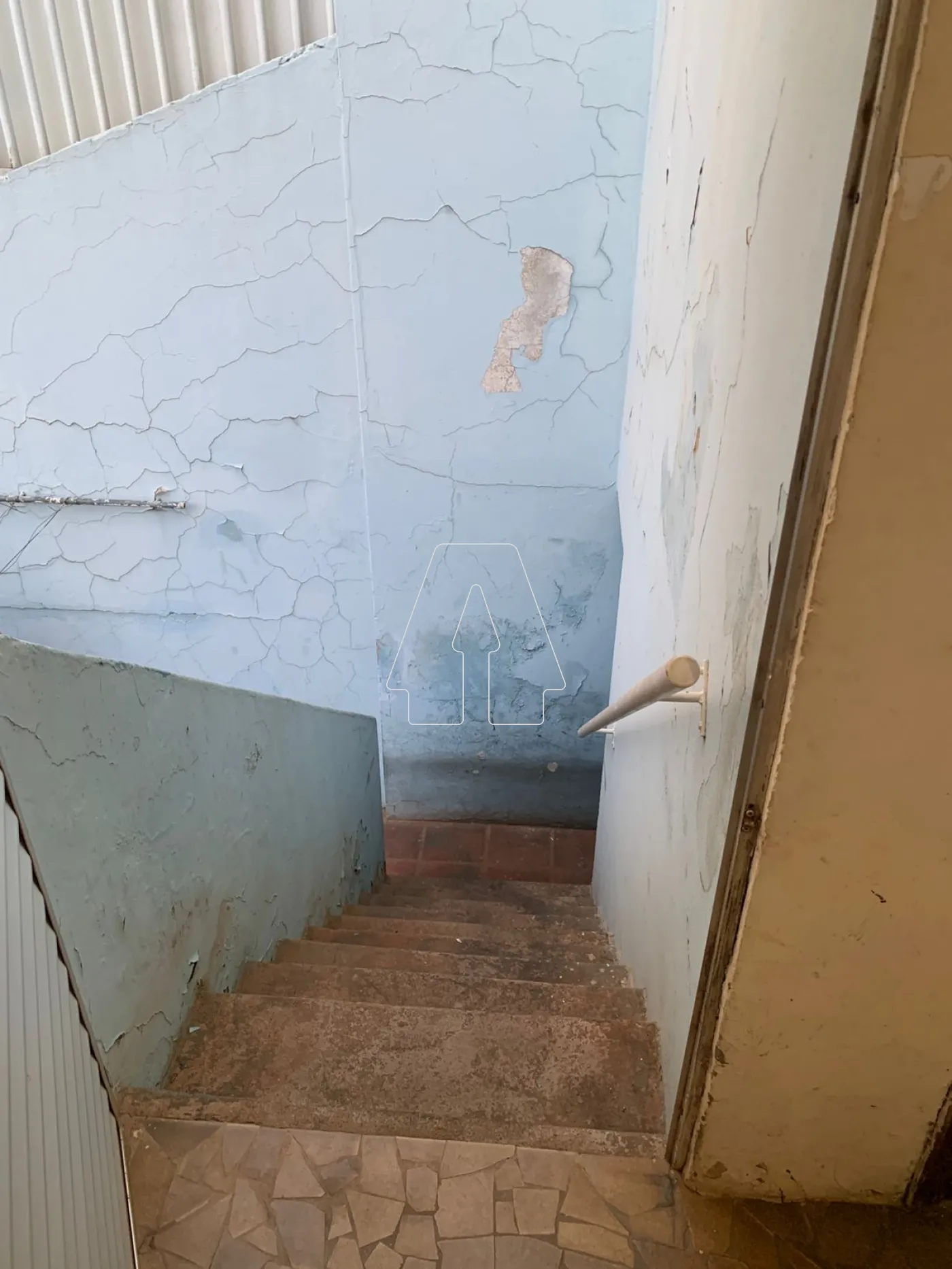 Alugar Casa / Residencial em Araçatuba R$ 2.500,00 - Foto 12
