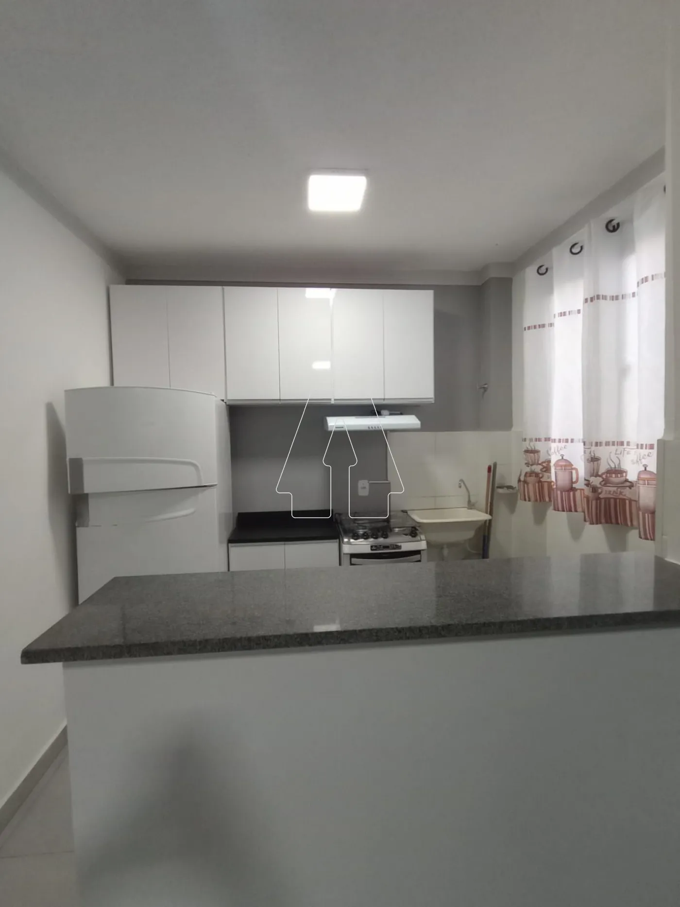 Alugar Apartamento / Padrão em Araçatuba R$ 1.400,00 - Foto 3