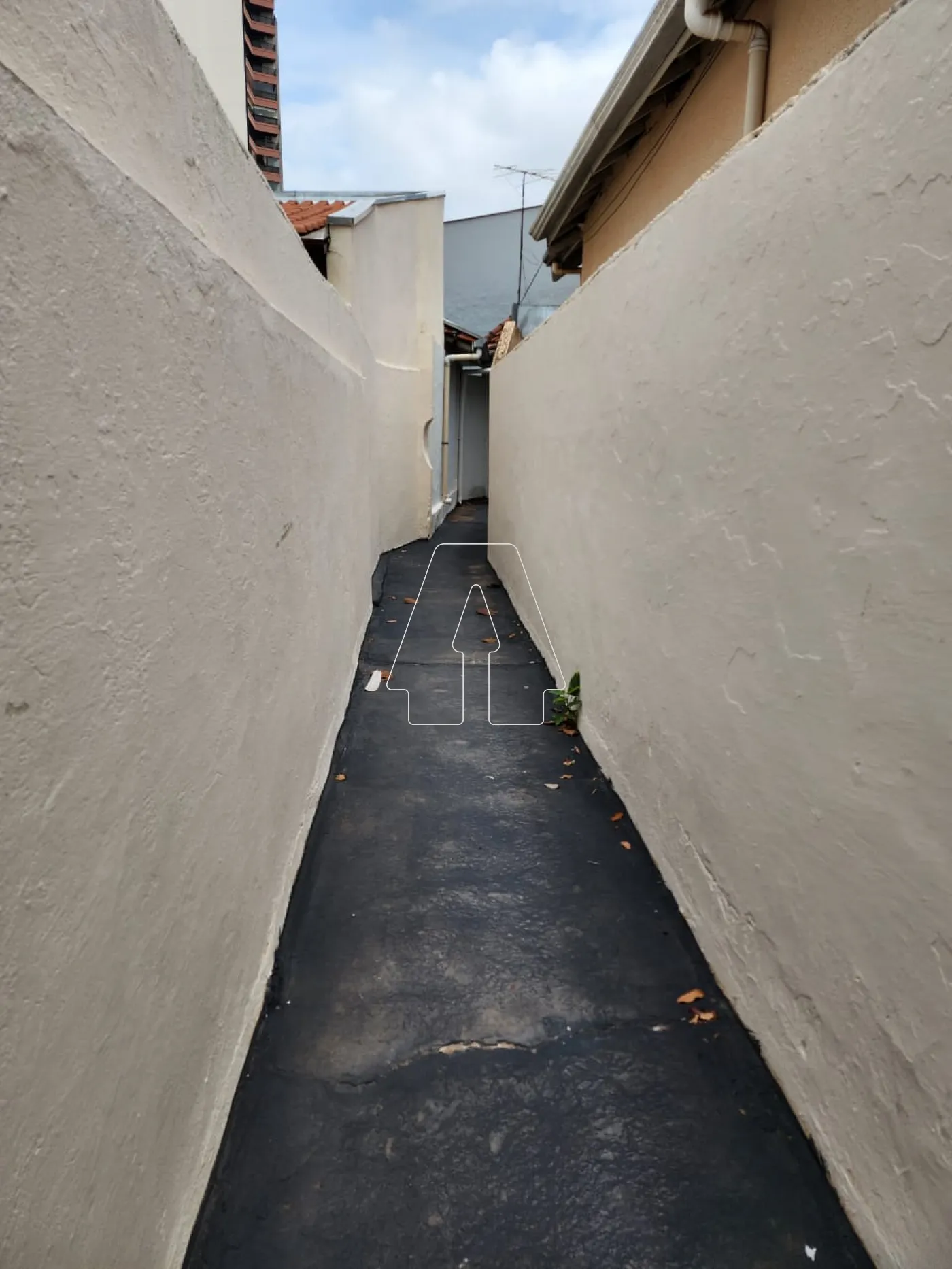 Alugar Casa / Residencial em Araçatuba R$ 850,00 - Foto 6