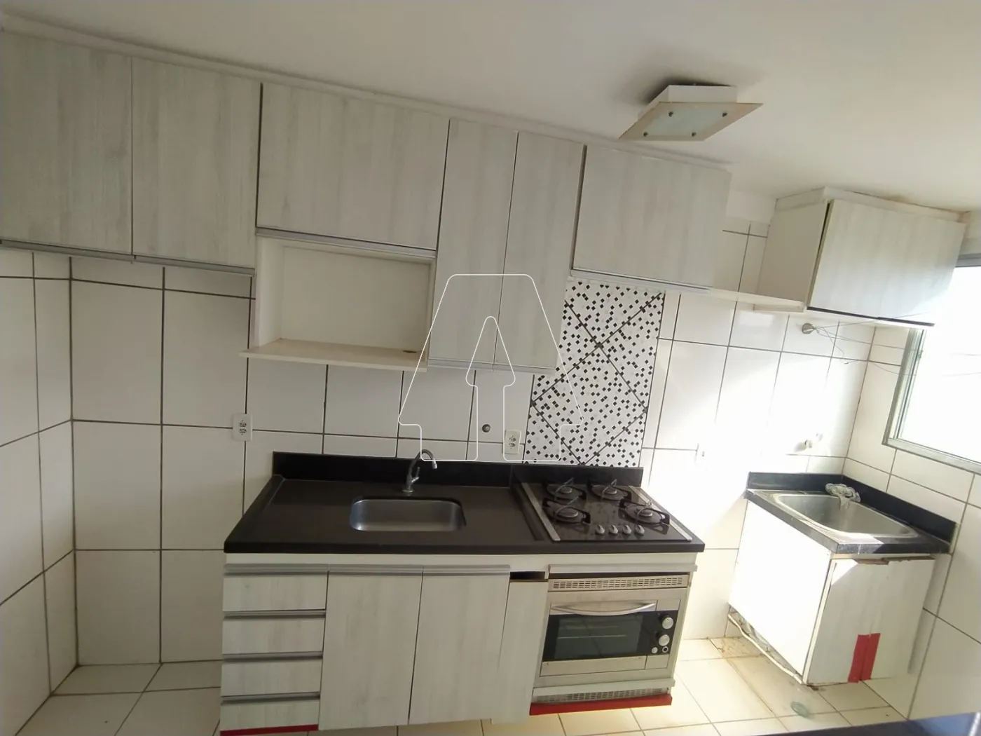 Alugar Apartamento / Padrão em Araçatuba R$ 1.100,00 - Foto 4