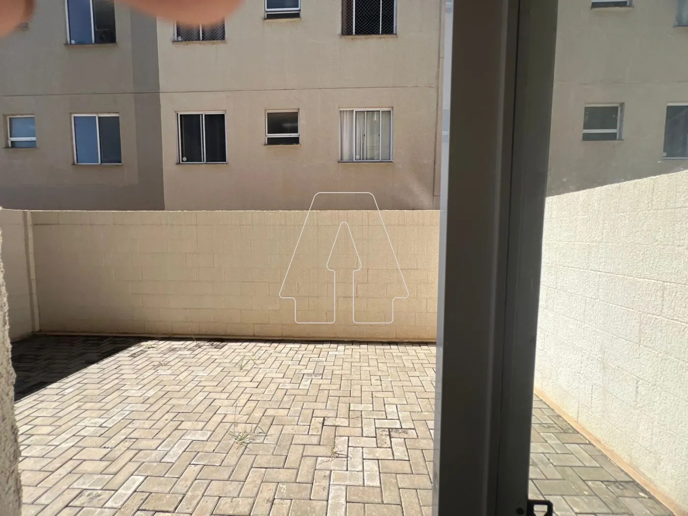 Alugar Apartamento / Padrão em Araçatuba R$ 950,00 - Foto 10