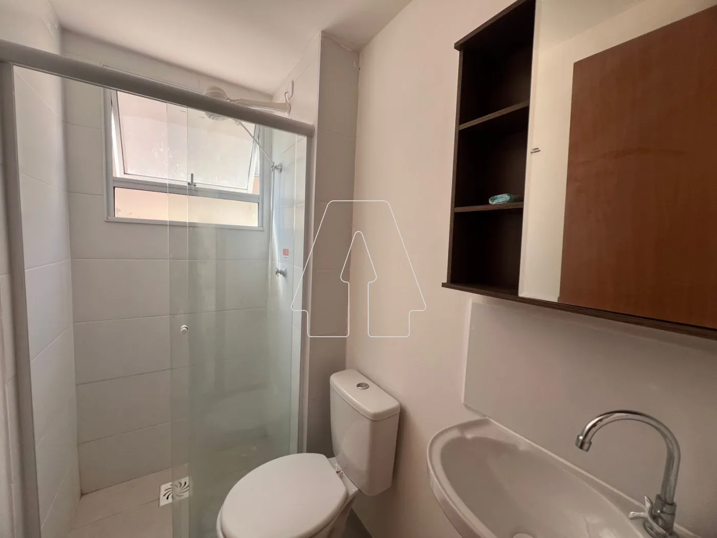 Alugar Apartamento / Padrão em Araçatuba R$ 950,00 - Foto 6