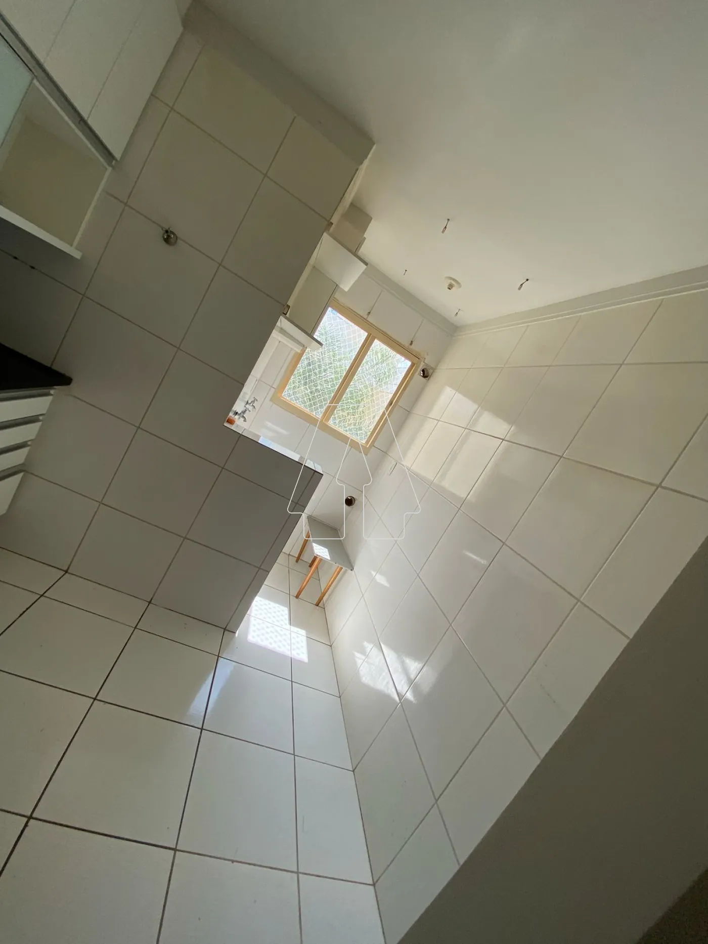 Alugar Apartamento / Padrão em Araçatuba R$ 1.000,00 - Foto 3
