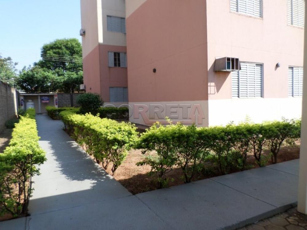 Alugar Apartamento / Padrão em Araçatuba R$ 1.300,00 - Foto 9