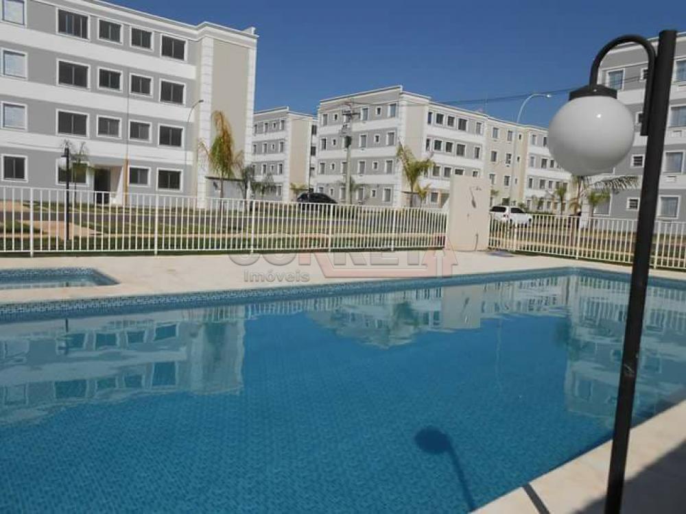 Alugar Apartamento / Padrão em Araçatuba R$ 1.500,00 - Foto 6