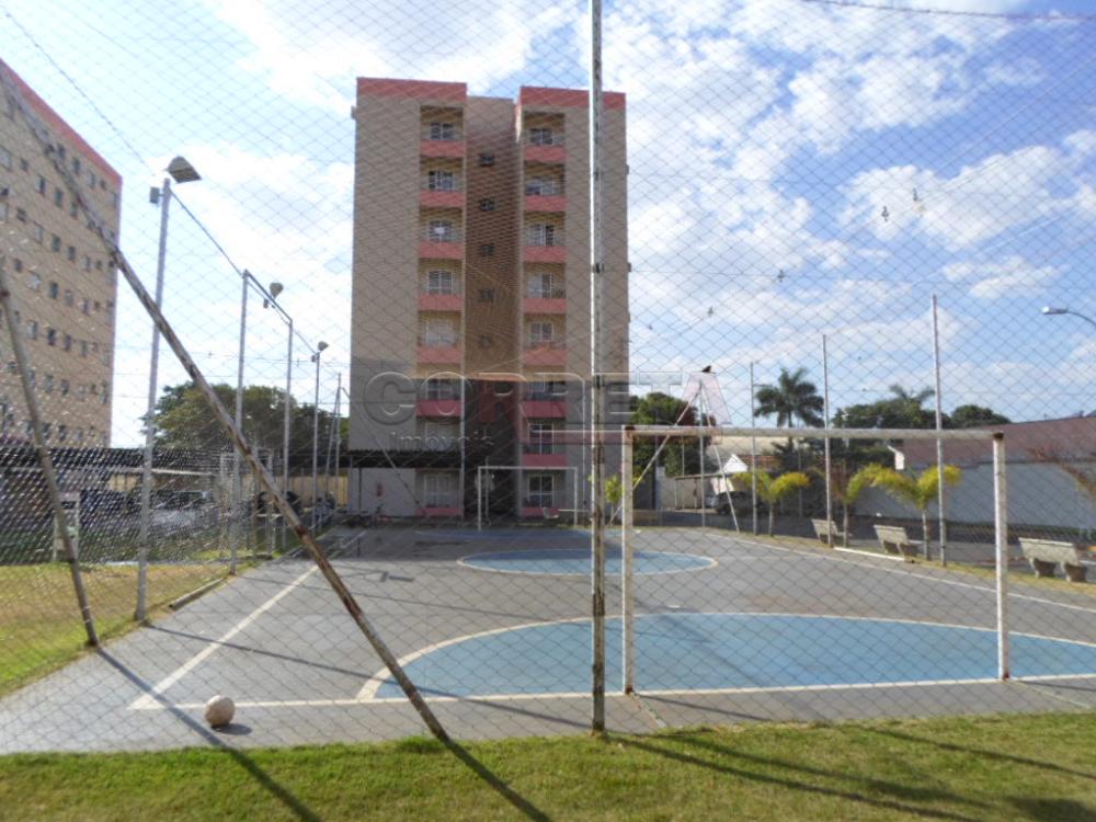 Alugar Apartamento / Padrão em Araçatuba R$ 1.550,00 - Foto 10