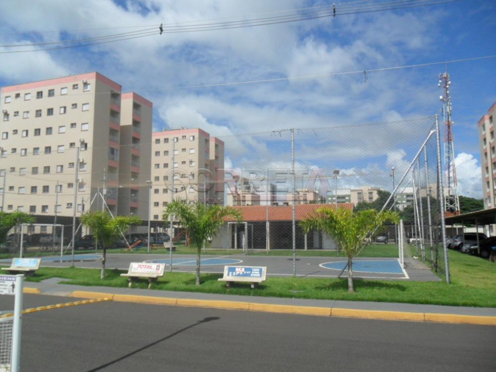 Alugar Apartamento / Padrão em Araçatuba R$ 1.550,00 - Foto 11