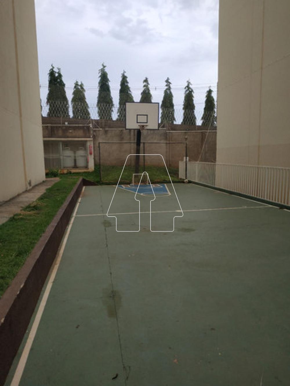 Comprar Apartamento / Padrão em Araçatuba R$ 250.000,00 - Foto 14