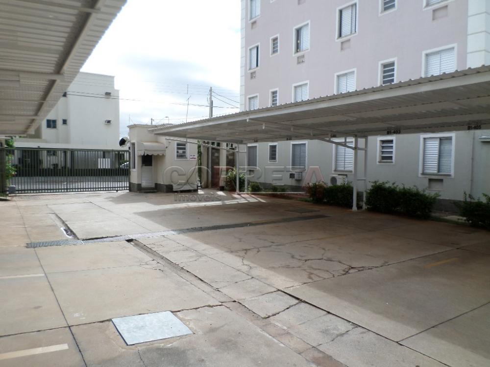 Alugar Apartamento / Padrão em Araçatuba R$ 850,00 - Foto 18