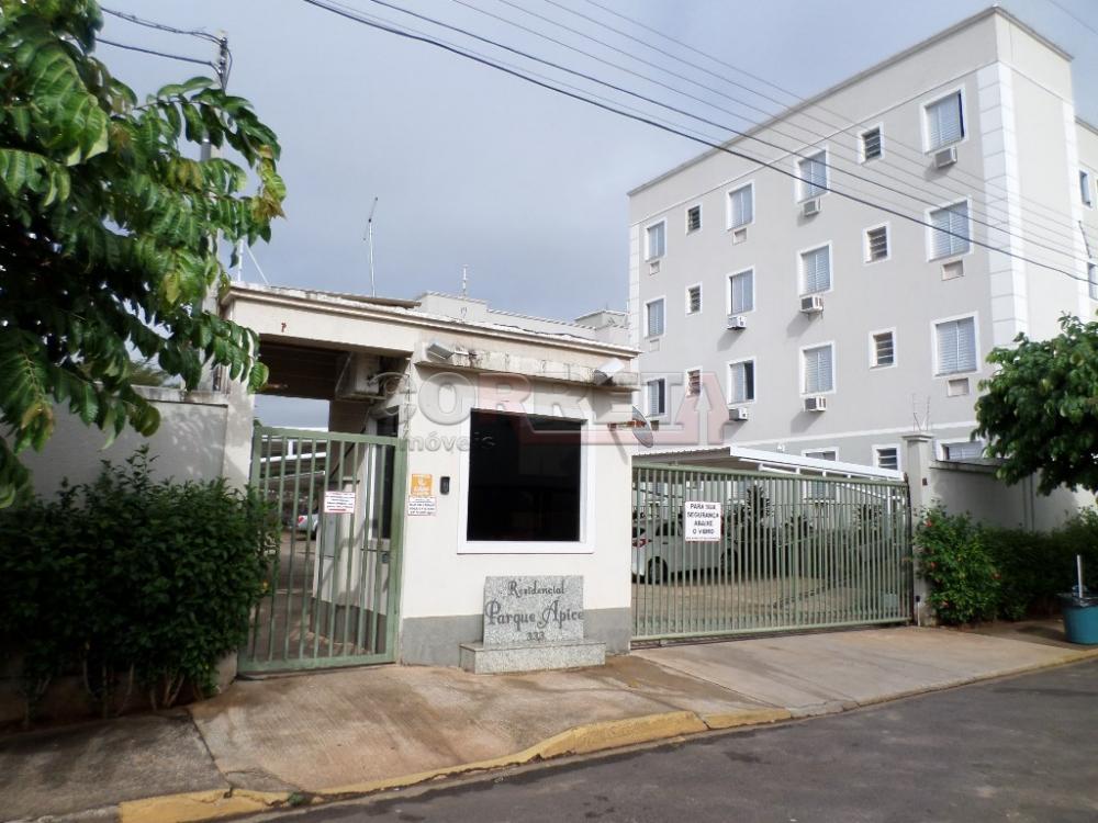 Alugar Apartamento / Padrão em Araçatuba R$ 850,00 - Foto 19