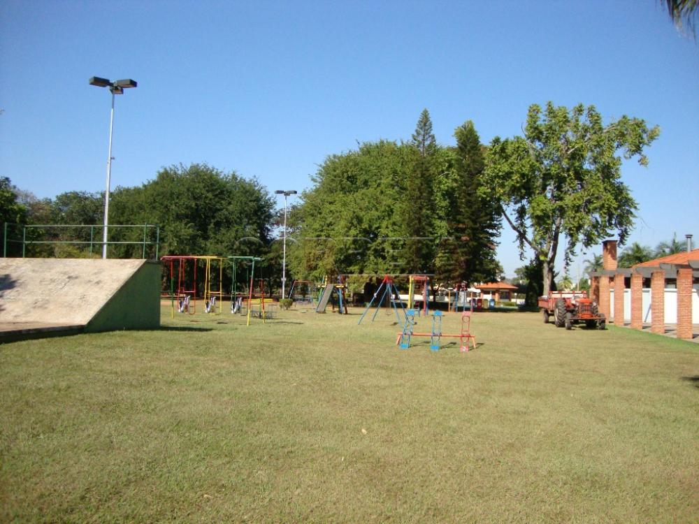 Alugar Casa / Condomínio em Araçatuba R$ 14.000,00 - Foto 50