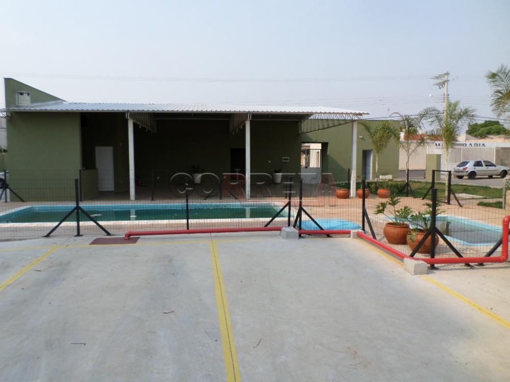 Alugar Apartamento / Padrão em Araçatuba R$ 980,00 - Foto 11