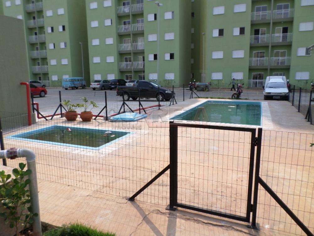 Alugar Apartamento / Padrão em Araçatuba R$ 980,00 - Foto 12