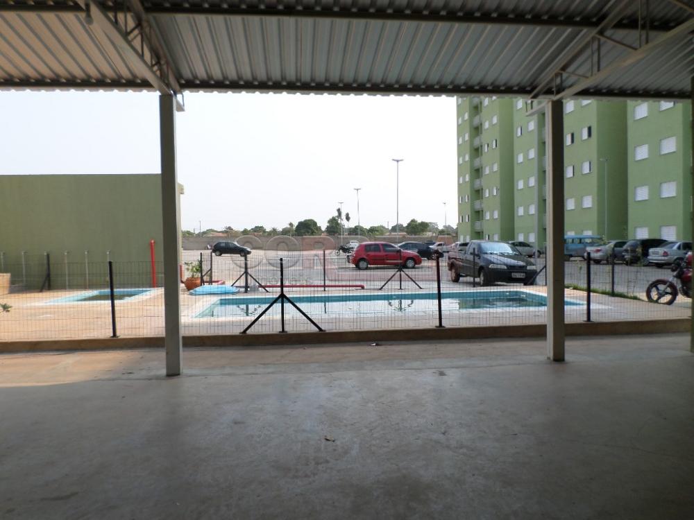Alugar Apartamento / Padrão em Araçatuba R$ 980,00 - Foto 14
