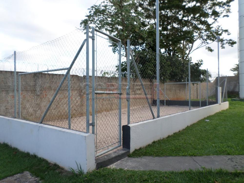 Alugar Apartamento / Padrão em Araçatuba R$ 1.500,00 - Foto 12