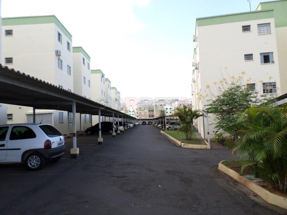 Alugar Apartamento / Padrão em Araçatuba R$ 1.500,00 - Foto 13
