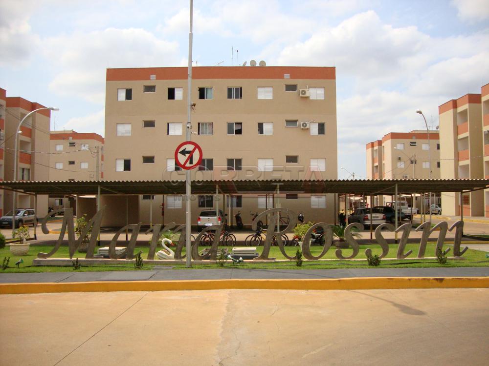 Comprar Apartamento / Padrão em Araçatuba R$ 155.000,00 - Foto 13