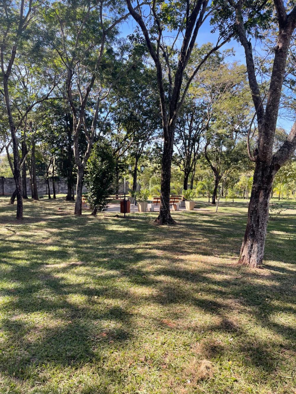 Alugar Casa / Condomínio em Araçatuba R$ 12.000,00 - Foto 40