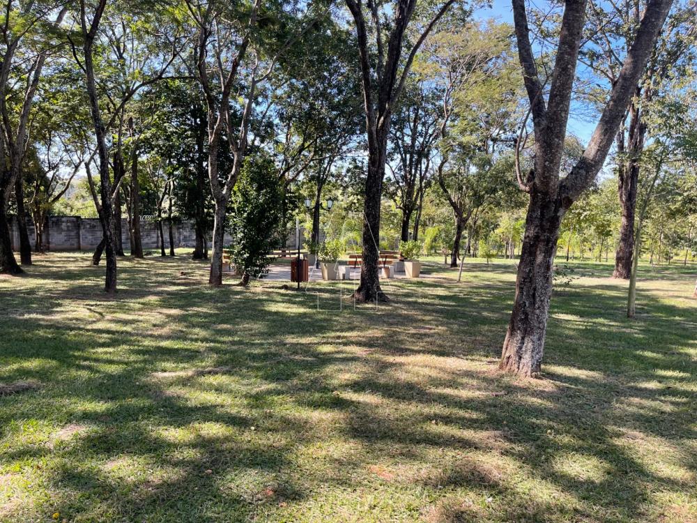 Alugar Casa / Condomínio em Araçatuba R$ 12.000,00 - Foto 49