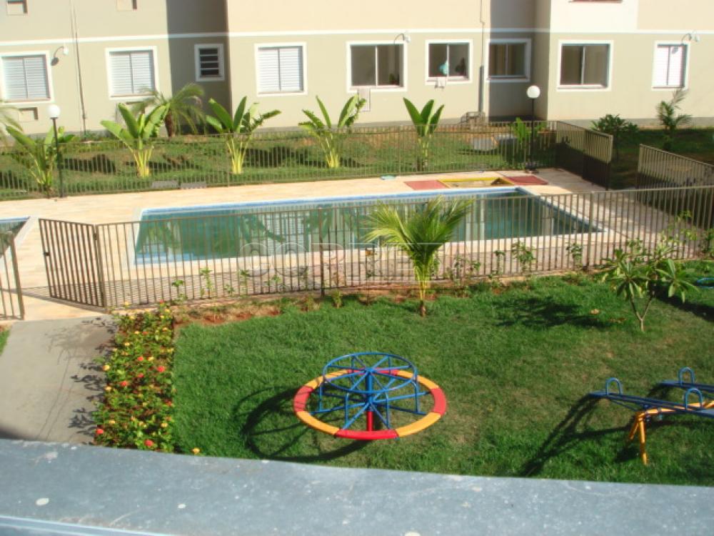 Alugar Apartamento / Padrão em Araçatuba R$ 1.400,00 - Foto 12