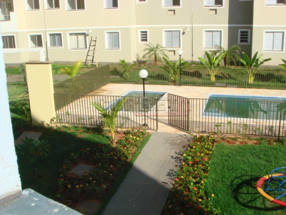 Alugar Apartamento / Padrão em Araçatuba R$ 1.400,00 - Foto 9