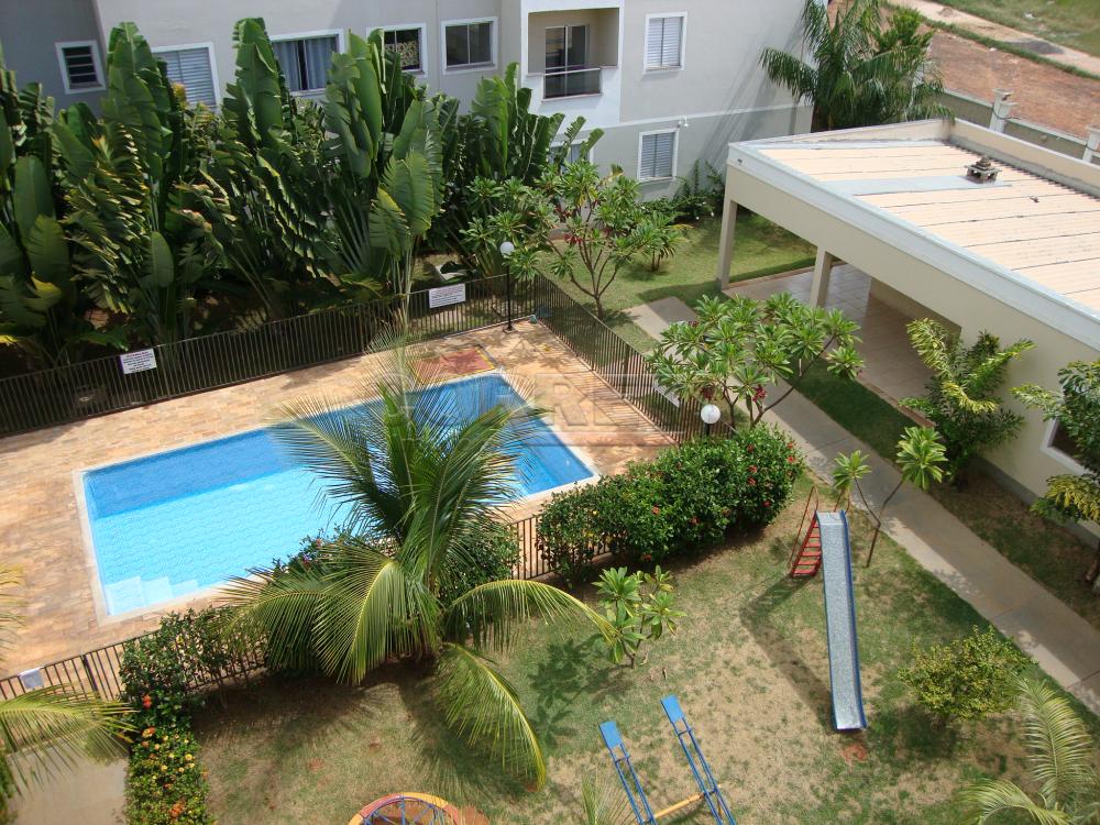Alugar Apartamento / Padrão em Araçatuba R$ 1.400,00 - Foto 11