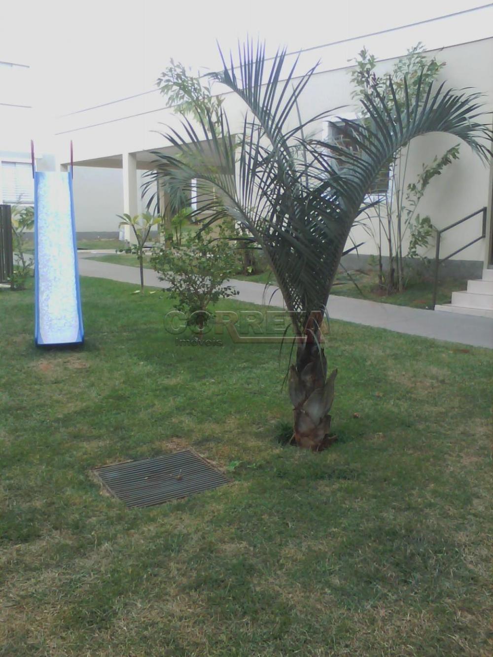 Alugar Apartamento / Padrão em Araçatuba R$ 1.400,00 - Foto 14